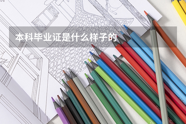 本科毕业证是什么样子的