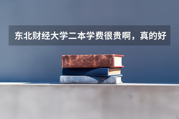 东北财经大学二本学费很贵啊,真的好吗