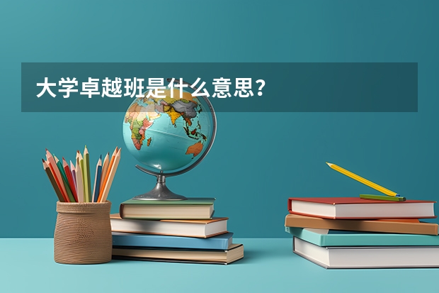 大学卓越班是什么意思？