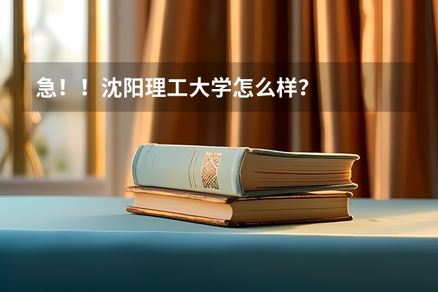 急！！沈阳理工大学怎么样？