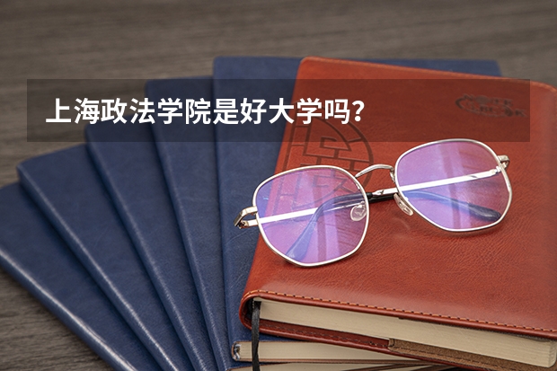 上海政法学院是好大学吗？