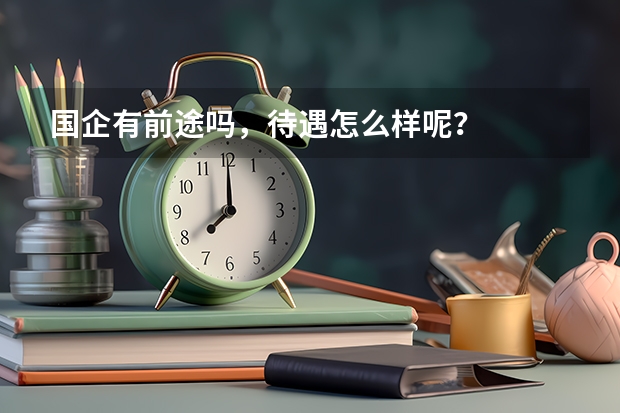 国企有前途吗，待遇怎么样呢？