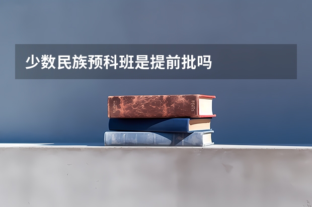 少数民族预科班是提前批吗
