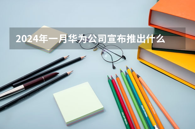 2024年一月华为公司宣布推出什么大模型