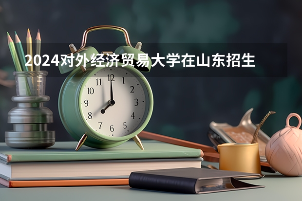 2024对外经济贸易大学在山东招生计划表