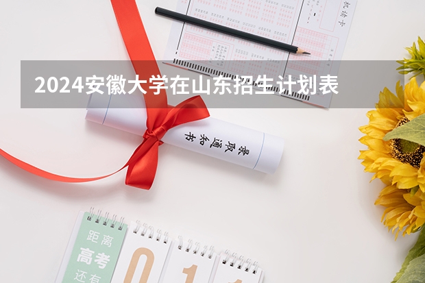 2024安徽大学在山东招生计划表