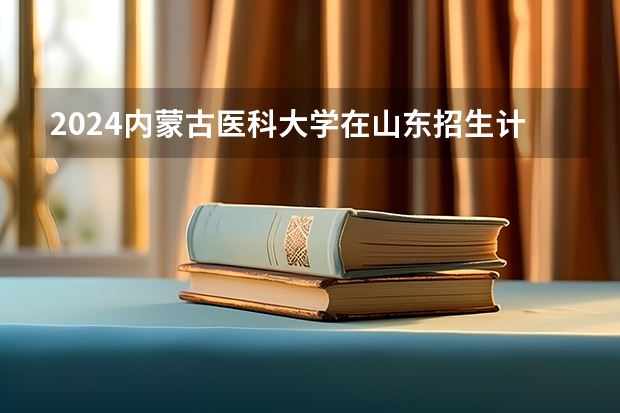 2024内蒙古医科大学在山东招生计划表