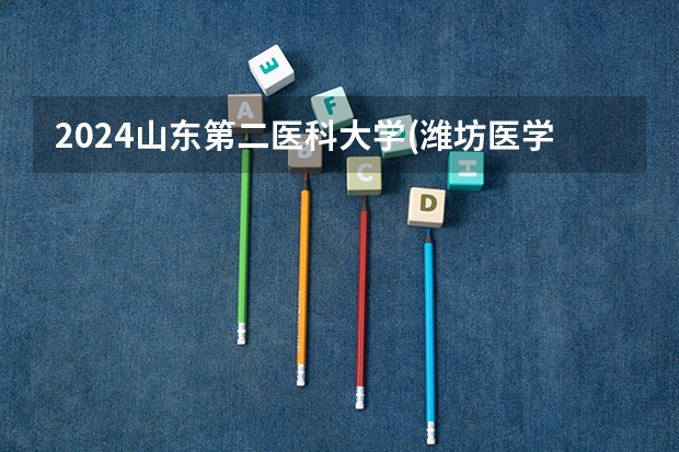 2024山东第二医科大学(潍坊医学院)在山东招生计划表