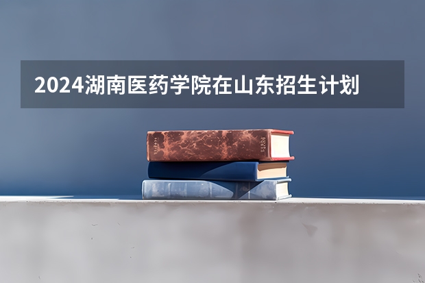 2024湖南医药学院在山东招生计划表