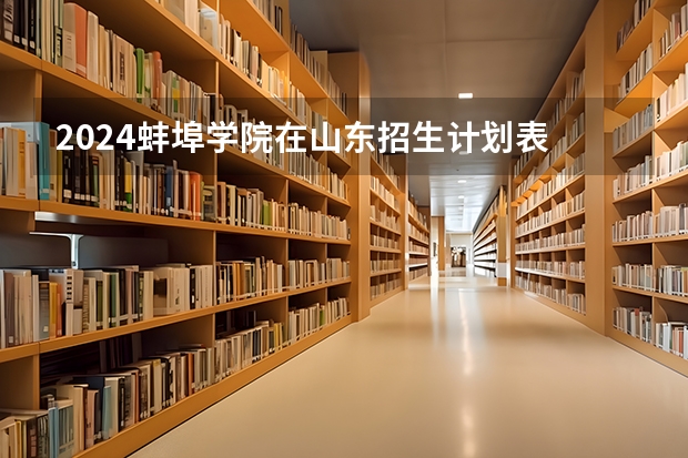 2024蚌埠学院在山东招生计划表