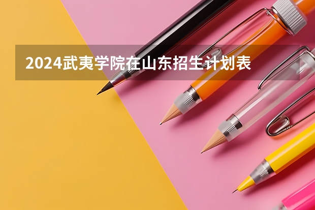 2024武夷学院在山东招生计划表