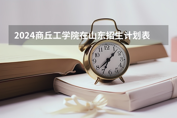2024商丘工学院在山东招生计划表