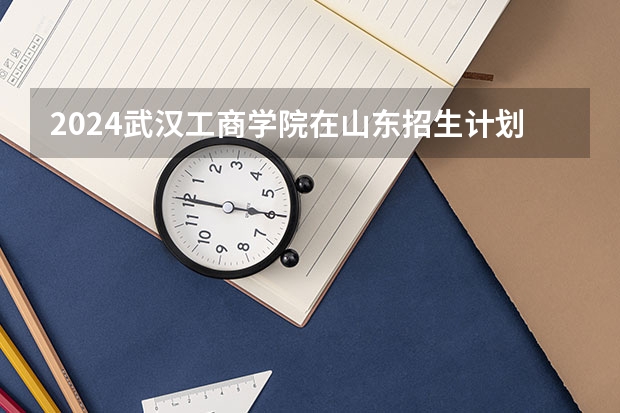 2024武汉工商学院在山东招生计划表