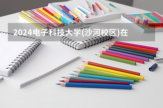 2024电子科技大学(沙河校区)在山东招生计划表