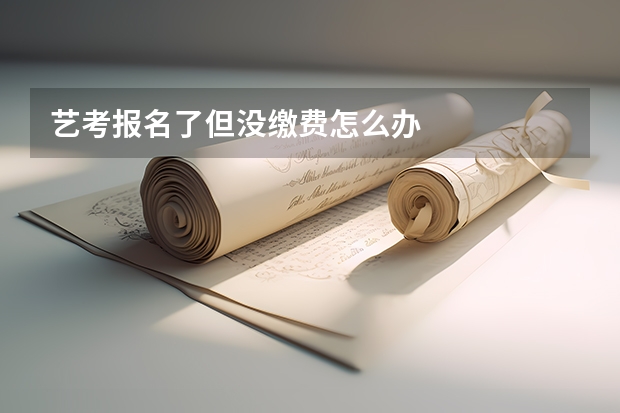艺考报名了但没缴费怎么办