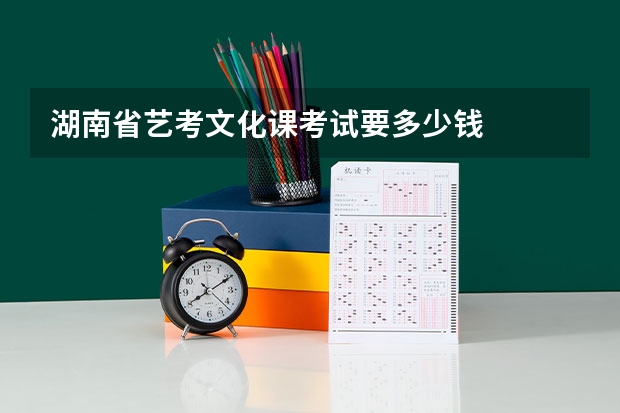湖南省艺考文化课考试要多少钱