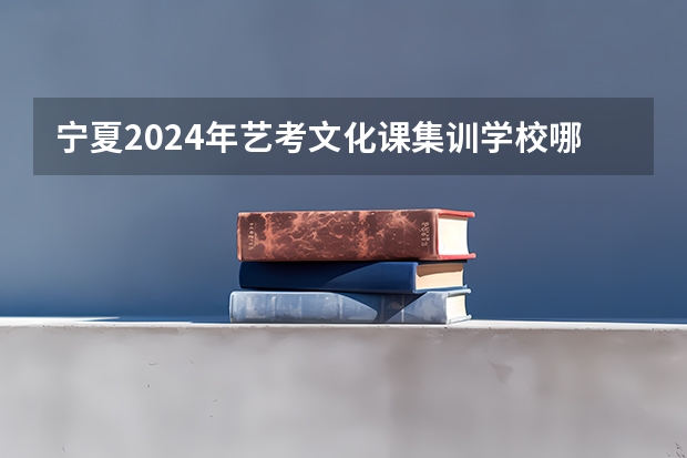 宁夏2024年艺考文化课集训学校哪里好