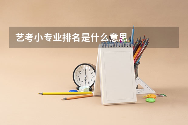 艺考小专业排名是什么意思