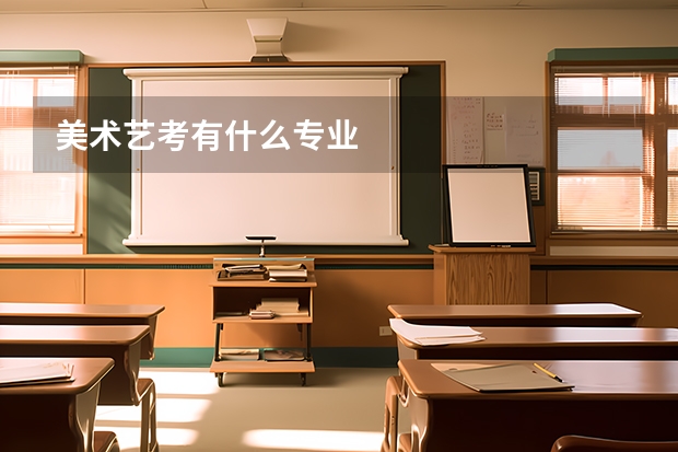 美术艺考有什么专业