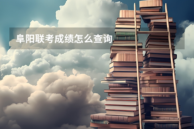 阜阳联考成绩怎么查询