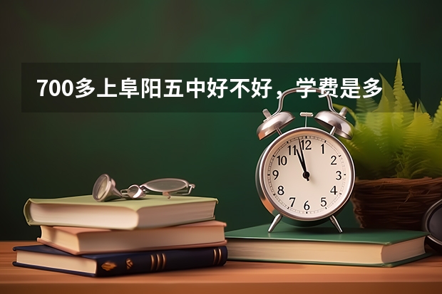 700多上阜阳五中好不好，学费是多少?有奖学金吗?听说五中是贵族学校?