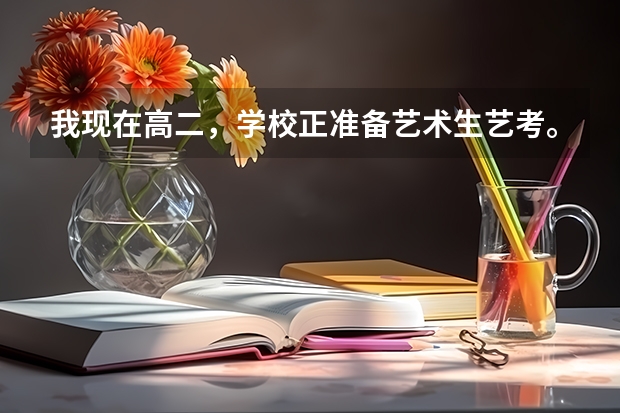 我现在高二，学校正准备艺术生艺考。我想学美术，以后去学动画设计，可以吗？有什么出路?