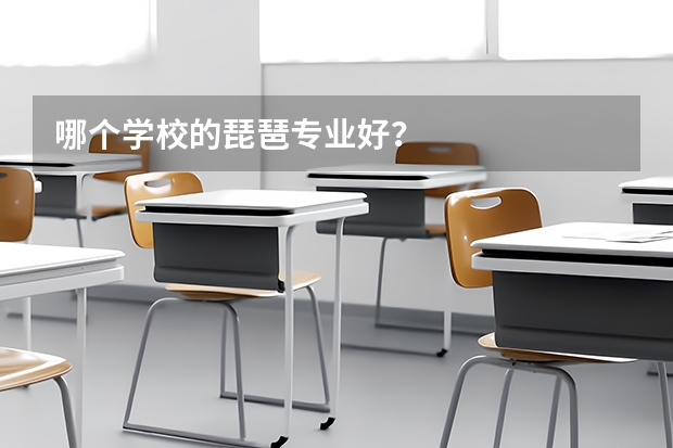 哪个学校的琵琶专业好?