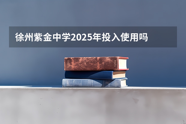 徐州紫金中学2025年投入使用吗