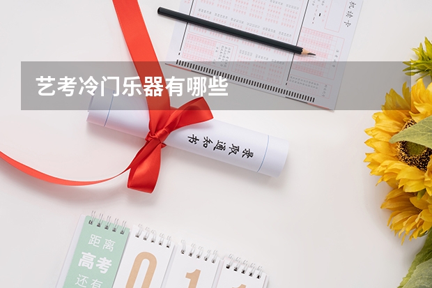 艺考冷门乐器有哪些