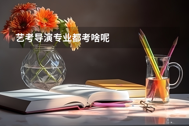 艺考导演专业都考啥呢