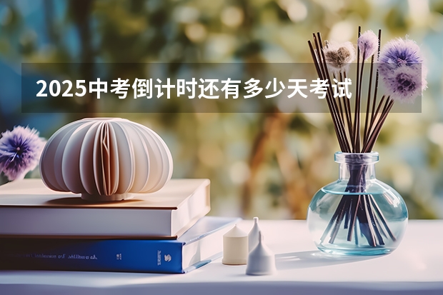 2025中考倒计时还有多少天考试