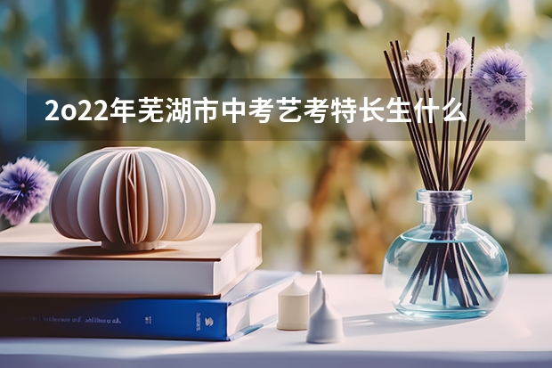 2o22年芜湖市中考艺考特长生什么时侯举行