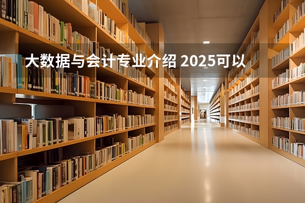 大数据与会计专业介绍 2025可以从事哪些工作