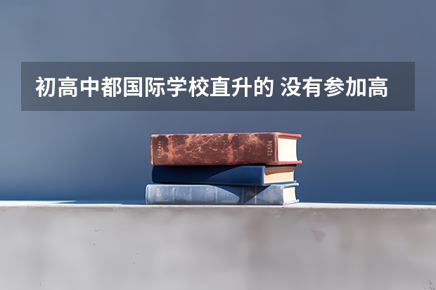 初高中都国际学校直升的 没有参加高考 现在不想选择留学 请问高中毕业可以报考上戏中戏之类的学校吗？