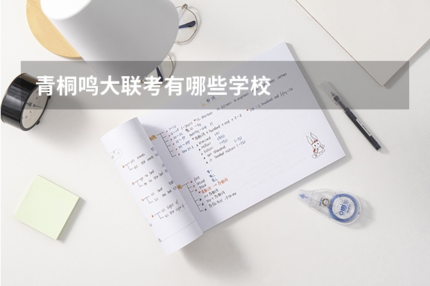 青桐鸣大联考有哪些学校