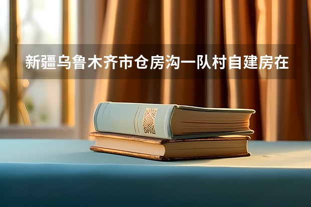 新疆乌鲁木齐市仓房沟一队村自建房在2025年政府有什么规划目标