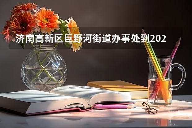 济南高新区巨野河街道办事处到2025年怎么规划的