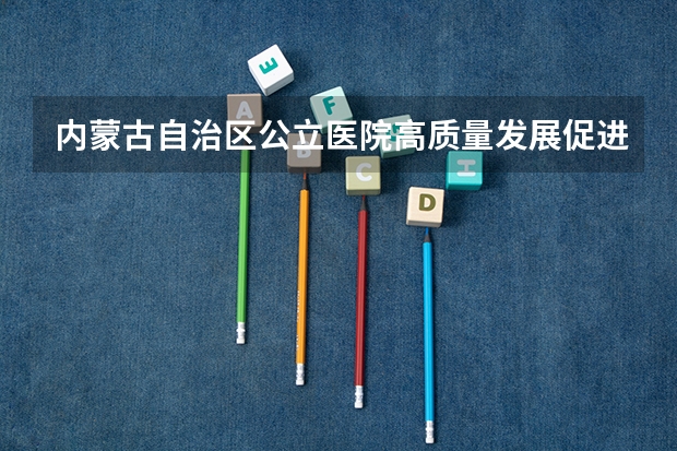 内蒙古自治区公立医院高质量发展促进行动实施方案（2025年）如何提及信息化？