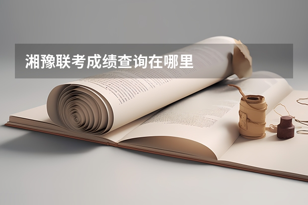 湘豫联考成绩查询在哪里