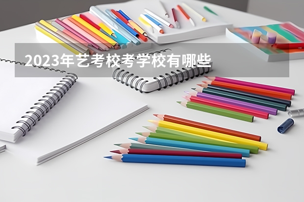 2023年艺考校考学校有哪些