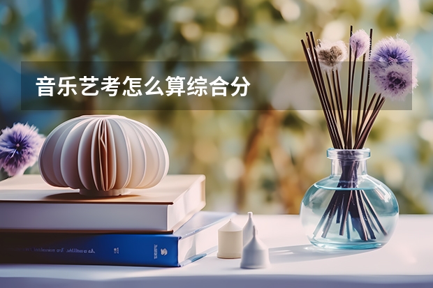 音乐艺考怎么算综合分