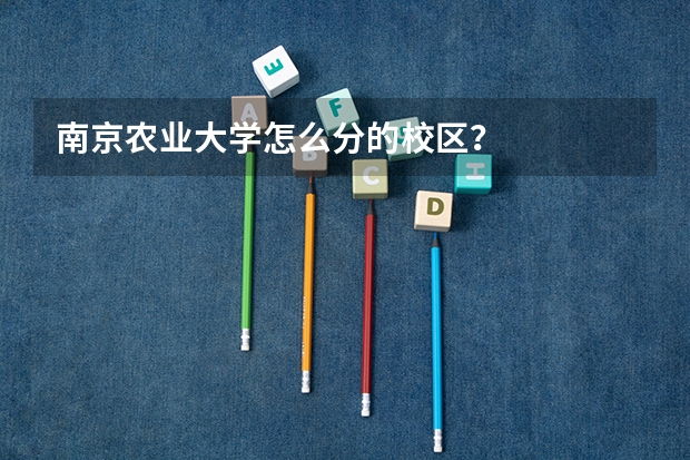 南京农业大学怎么分的校区？