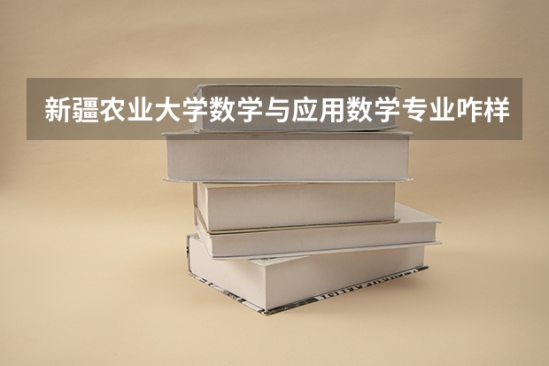 新疆农业大学数学与应用数学专业咋样？以后就业选哪个方向？不甚感谢